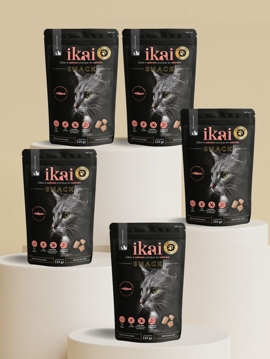 PACK GATO: 5 SNACKS